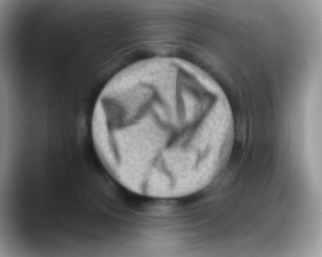 X0000088060128200706081657