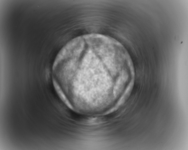 X0000088060130200706081657