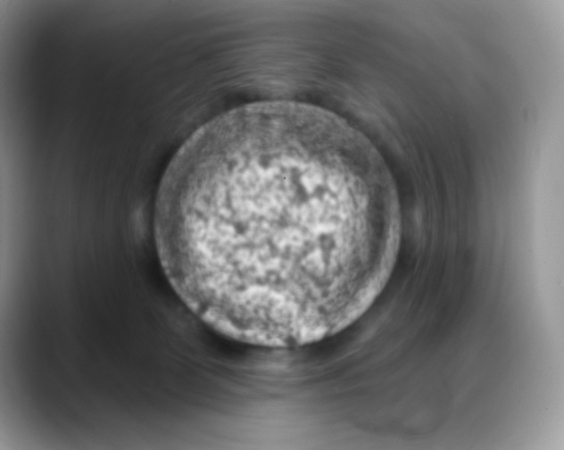 X0000088060131200706081657