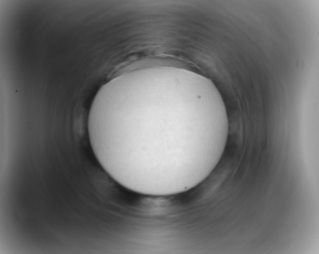 X0000088060133200706081657