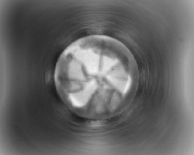 X0000088060134200706081657