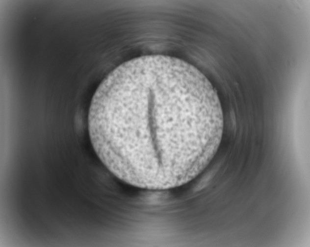 X0000088060135200706081657