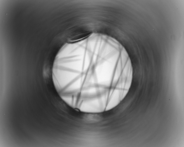 X0000088060137200706081657