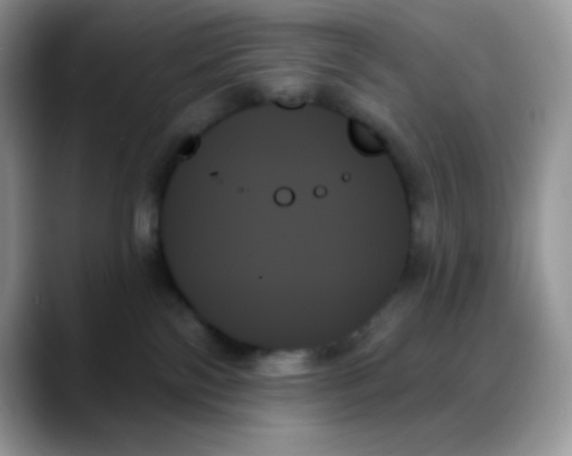 X0000088060138200706081657