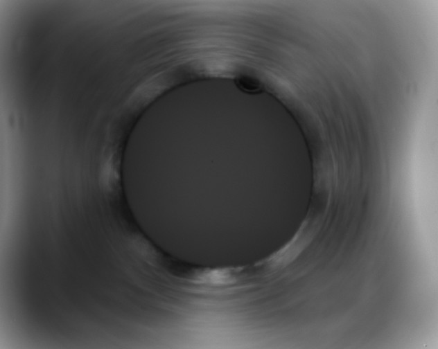 X0000088060140200706081657