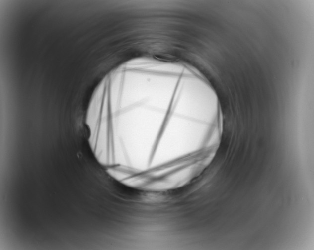 X0000088060141200706081657