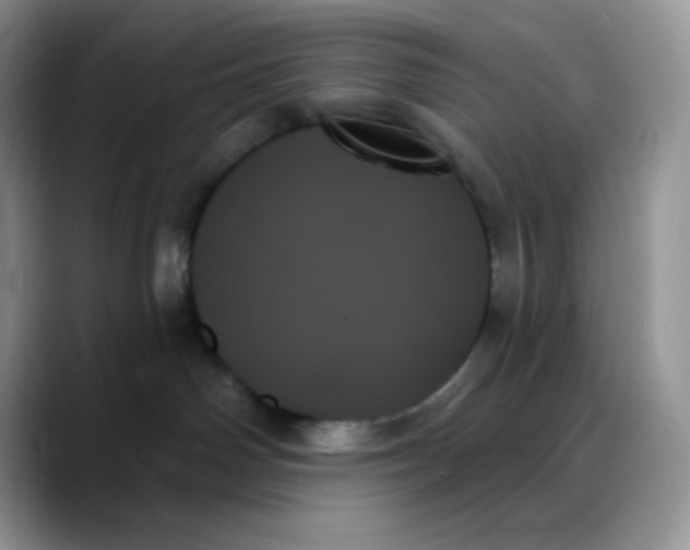 X0000088060142200706081657