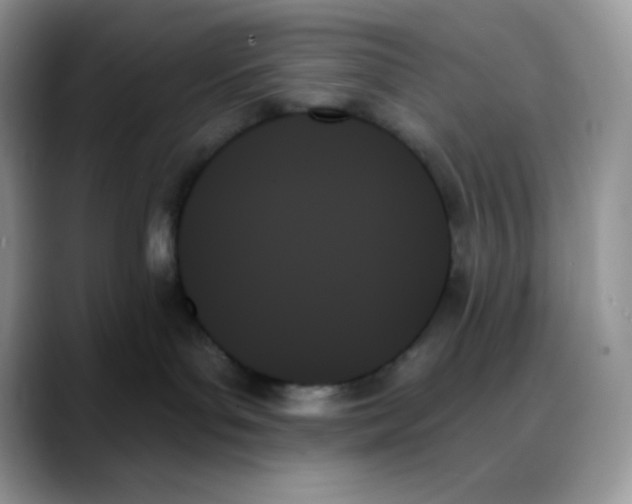X0000088060143200706081657