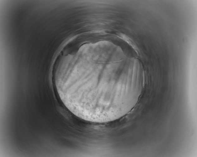 X0000088060147200706081656
