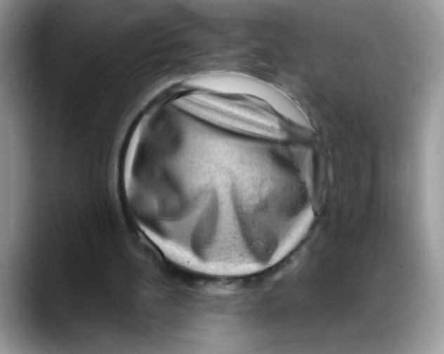 X0000088060148200706081656