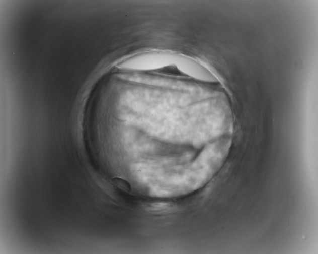 X0000088060151200706081656