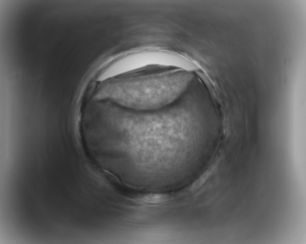 X0000088060152200706081656