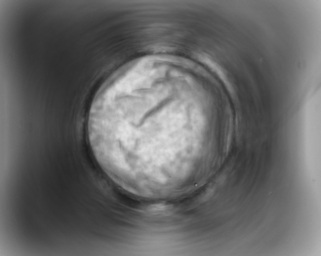 X0000088060153200706081656