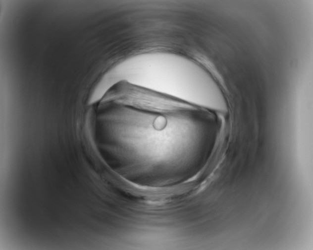 X0000088060154200706081656
