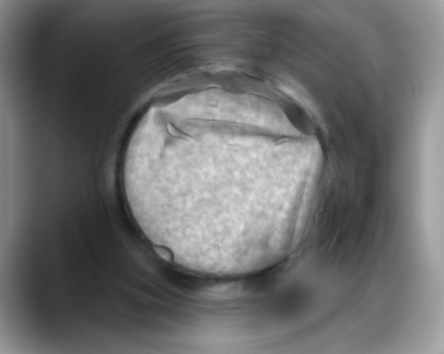 X0000088060155200706081656