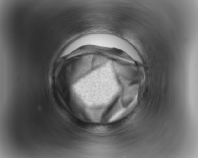 X0000088060156200706081656