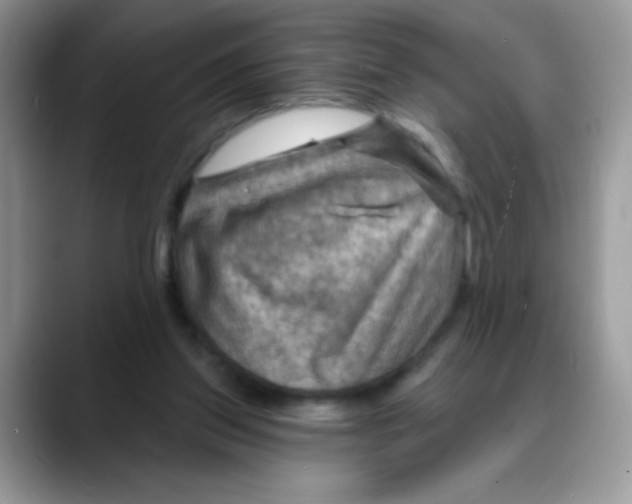 X0000088060157200706081656