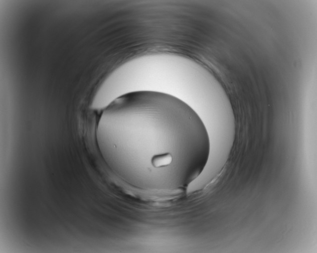 X0000088060158200706081656