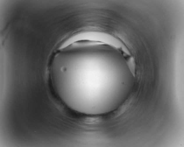 X0000088060160200706081656