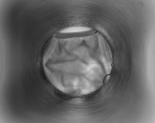 X0000088060161200706081656