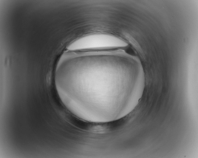 X0000088060163200706081656