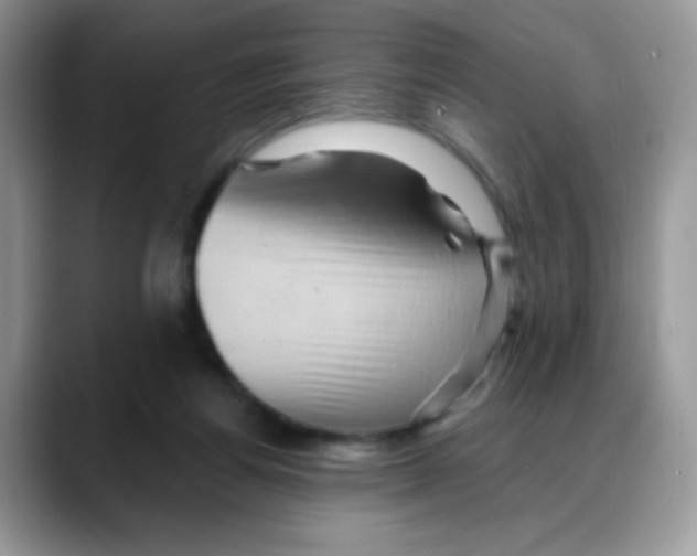 X0000088060164200706081656