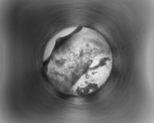 X0000088060165200706081656
