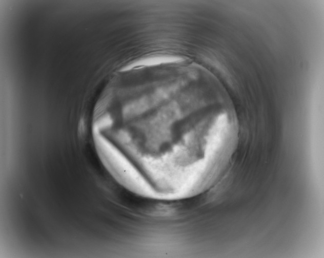 X0000088060166200706081656