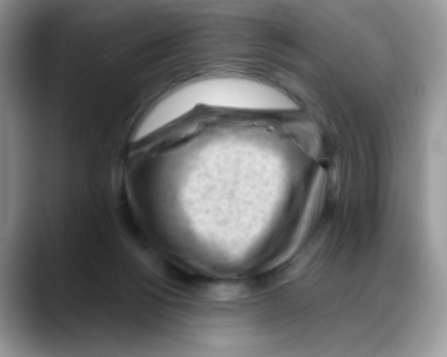 X0000088060168200706081656