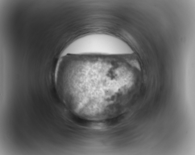 X0000088060169200706081656
