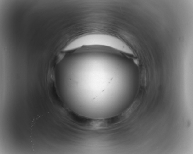 X0000088060172200706081656