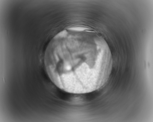 X0000088060175200706081657