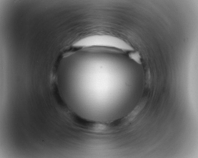 X0000088060176200706081657