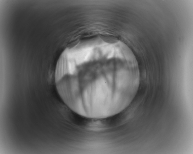 X0000088060177200706081657