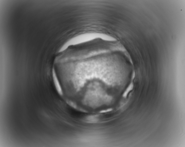 X0000088060178200706081657