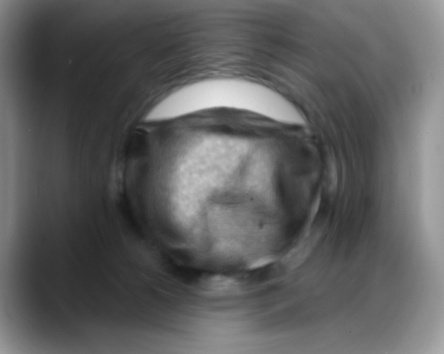 X0000088060180200706081657