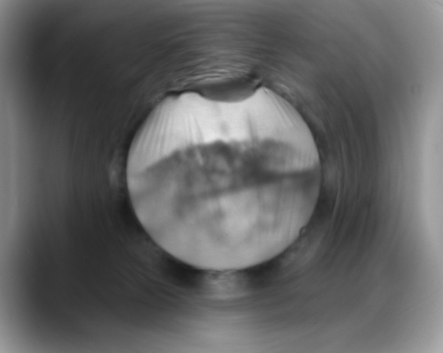 X0000088060181200706081657