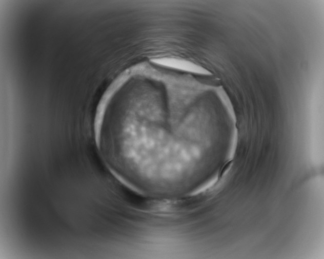 X0000088060182200706081657