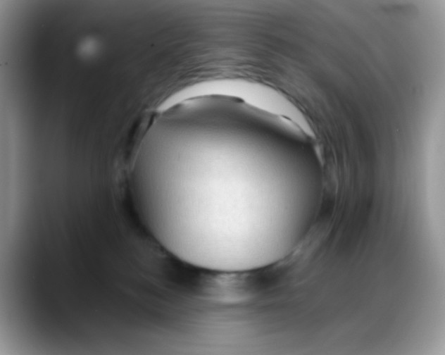 X0000088060184200706081657