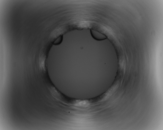 X0000088060185200706081657