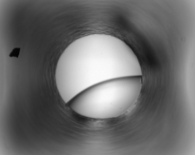 X0000088060186200706081657