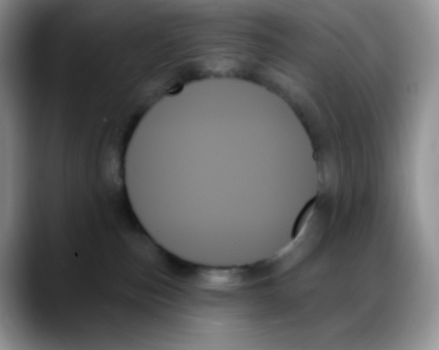 X0000088060187200706081657