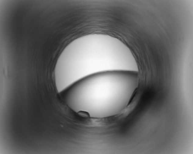 X0000088060188200706081657