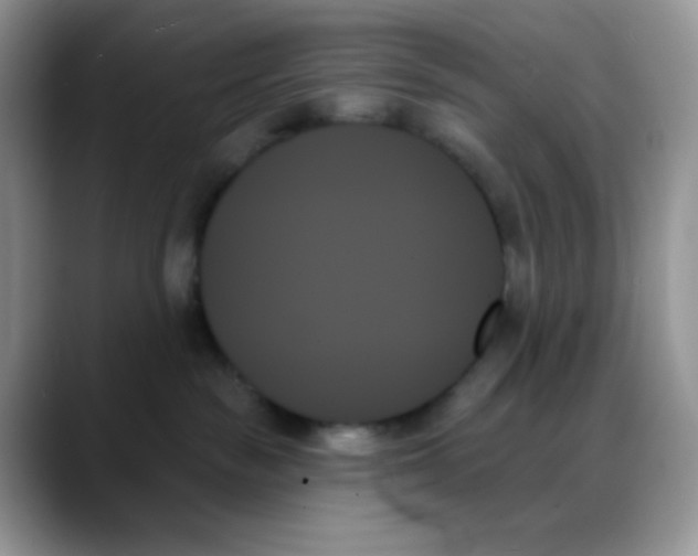 X0000088060189200706081657