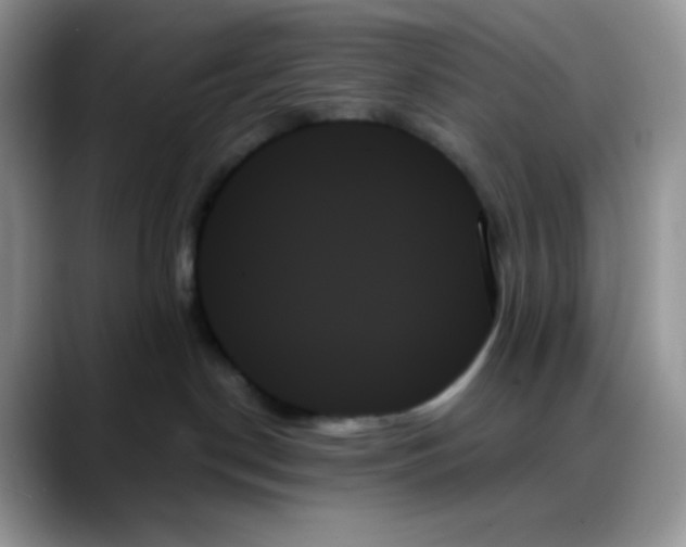 X0000088060190200706081657