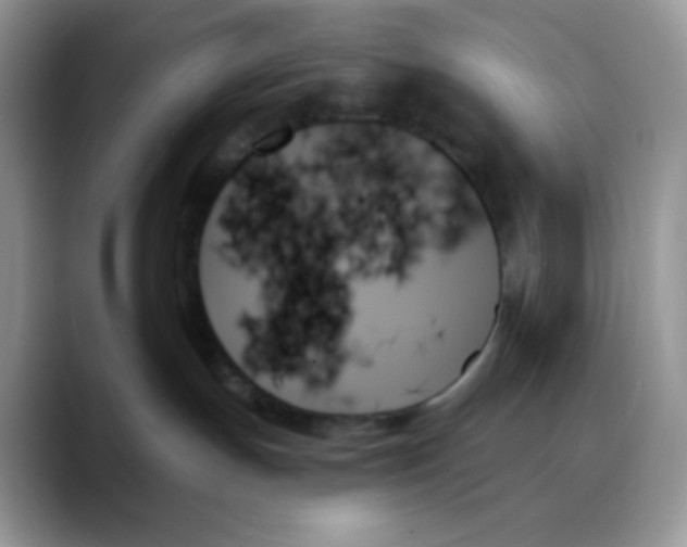 X0000088060191200706081657