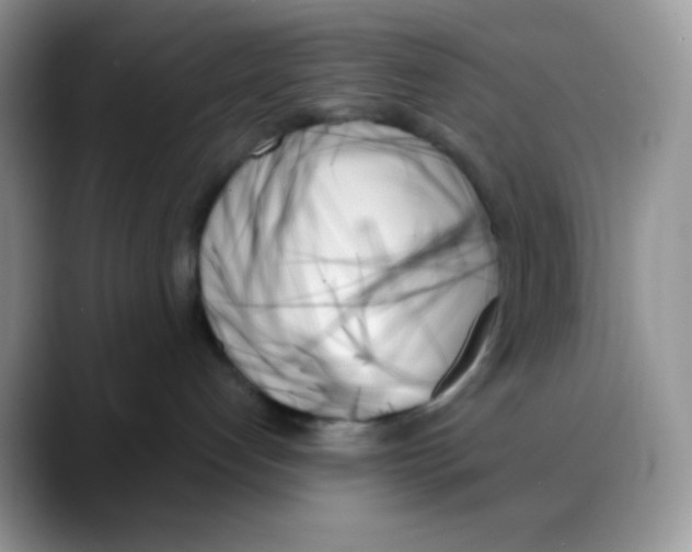 X0000088060192200706081657