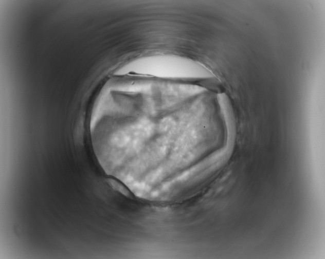 X0000088060194200706081656