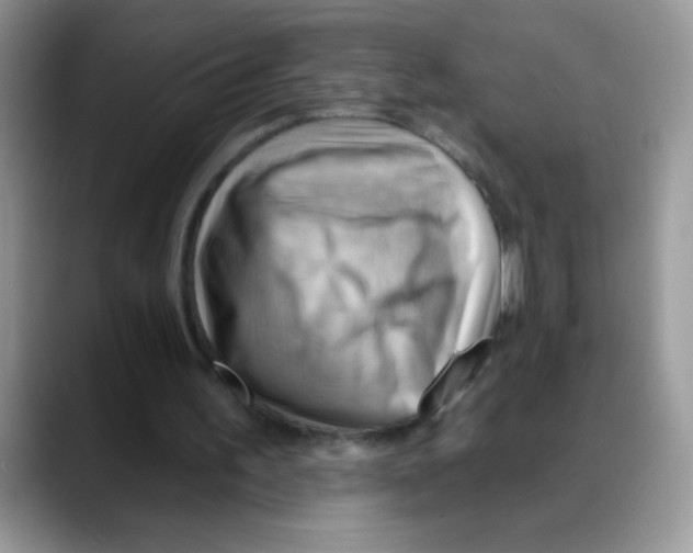 X0000088060195200706081656