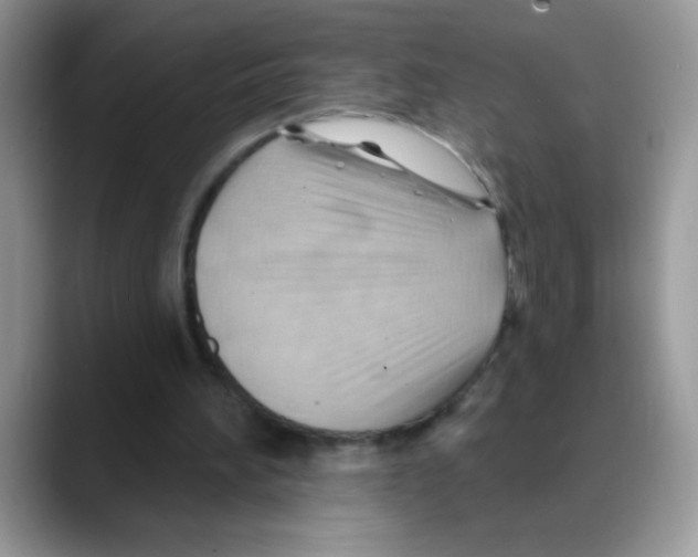 X0000088060196200706081656